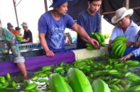 HAGL Agrico kéo dài thời hạn trái phiếu 