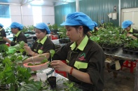 Nafoods Group: Phó tổng giám đốc kinh doanh bán một nửa số cổ phần