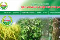 Nông nghiệp Bình Thuận phát hành cổ phiếu để mua cổ phần công ty khác