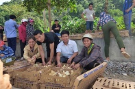 Mavin công bố gói hỗ trợ sinh kế 2 tỷ đồng cho đồng bào miền Trung 