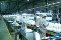 An Phát Holdings sắp chào bán 55,7 triệu cổ phiếu, tăng vốn lên 2.000 tỷ đồng