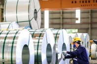 Hoa Sen đạt hơn 500 tỷ lợi nhuận tháng 3