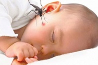 Sốt rét có thể trở thành ác tính, nếu không lưu ý biện pháp phòng ngừa, điều trị