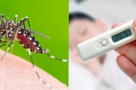 Tin mới về y tế ngày 5/10: TP.HCM điều trị sốt xuất huyết theo mô hình tháp 3 tầng