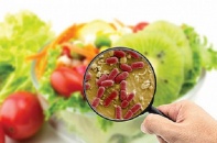 Bộ Y tế hỗ trợ tỉnh Khánh Hòa xử trí vụ ngộ độc thực phẩm nghiêm trọng