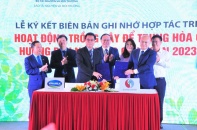 Hợp tác trồng cây để trung hòa Carbon hướng đến Net Zero giai đoạn 2023 - 2027