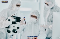 Virus Marburg liệu có nguy cơ xâm nhập Việt Nam?
