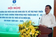 Triển khai đầu tư, hỗ trợ phát triển vùng trồng dược liệu quý