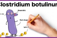 Tăng cường công tác phòng chống ngộ độc do Botulium