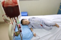 Hơn 10 triệu người Việt mang gen bệnh tan máu bẩm sinh