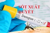 Hà Nội: Thêm 10 ổ dịch sốt xuất huyết trong một tuần