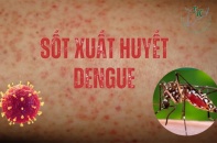 Hà Nội: Dịch sốt xuất huyết tiếp tục tăng