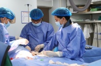 Tin mới y tế ngày 20/1: Hà Nội có 6 bệnh viện cấp chuyên sâu