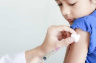 Cảnh báo về bệnh dại và các tai nạn liên quan đến chó cắn
