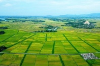 Bộ Nông nghiệp và Môi trường hướng dẫn chuẩn hóa hồ sơ đất đai sau sáp nhập