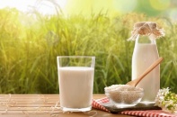 Cục An toàn thực phẩm yêu cầu kiểm tra, xác minh thông tin quảng cáo sữa Milo liên quan Viện Dinh dưỡng
