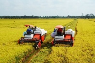 Việt Nam cập nhật lộ trình giảm phát thải giai đoạn 2026 - 2035