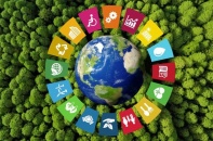 Học hỏi kinh nghiệm quốc tế để phát triển ngành làm mát bền vững