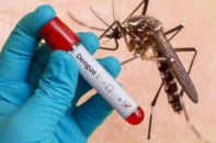 Dịch sốt xuất huyết gia tăng, khó kiểm soát khi thời tiết biến động bất thường