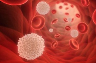 Tin mới y tế ngày 8/11: Cảnh báo biến chứng hiếm nhưng nguy hiểm của thuốc kháng giáp tổng hợp