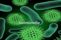 Tin mới y tế ngày 17/11: Phòng tránh ngộ độc Salmonella