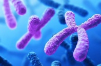 Khám vô sinh, phát hiện bất thường nhiễm sắc thể