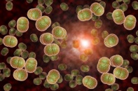 Tiêm vắc-xin chủ động giúp ngăn ngừa não mô cầu đang lan nhanh