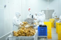 Tin mới y tế ngày 3/1: Không vùng cấm trong cao điểm chống buôn lậu, hàng giả lĩnh vực y tế dịp Tết Bính Ngọ