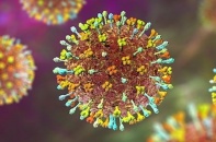 Virus Nipah xâm nhập cơ thể như thế nào và vì sao đặc biệt nguy hiểm