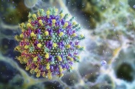 Hà Nội chủ động kiểm soát dịch bệnh truyền nhiễm ngay từ đầu năm