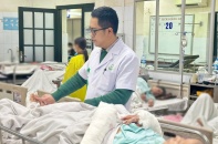 Cảnh báo nguy cơ bệnh dại và an toàn cộng đồng dịp Tết