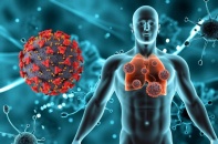 Bác sỹ cảnh báo nguy cơ lây viêm gan B từ mẹ sang con khi tải lượng virus quá cao