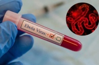 Ebola khó trở thành đại dịch như Covid-19, Việt Nam vẫn cần cảnh giác