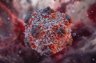 Việt Nam chưa ghi nhận ca mắc virus Hanta chủng Andes, Bộ Y tế tiếp tục theo dõi sát