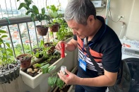 Hà Nội vào cao điểm sốt xuất huyết, 46 đoàn kiểm tra được triển khai