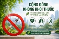 Đầu tư cho môi trường không khói thuốc, giảm gánh nặng bệnh tật