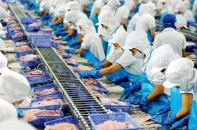 Quý III/2020: Vĩnh Hoàn kinh doanh gặp khó, tiếp tục lấy tiền đi đầu tư chứng khoán