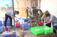 Điều tra hành vi gây ô nhiễm môi trường tại Công ty cổ phần Bóng đèn Điện Quang