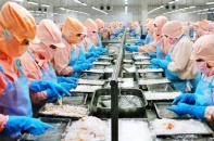 Minh Phú dự kiến tổ chức ĐHĐCĐ trực tuyến, hạ kế hoạch lợi nhuận năm 2022 