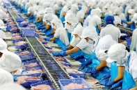 Vĩnh Hoàn: Lợi nhuận quý II tăng chậm hơn quý I và dòng tiền âm 304,4 tỷ đồng
