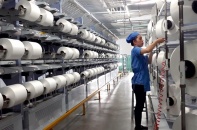 Sợi Thế Kỷ: 6 tháng đầu năm ghi nhận lỗ tỷ giá 17,25 tỷ đồng