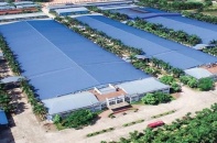 Hạ tầng Vĩnh Phúc: Quý II/2022, lợi nhuận giảm 44% về còn 26,84 tỷ đồng