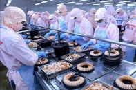 Thủy sản Minh Phú sắp thưởng cổ phiếu với tỷ lệ 100%