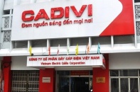 Gelex Electric chào mua công khai hơn 2,1 triệu cổ phiếu Cadivi với giá 55.000 đồng/CP