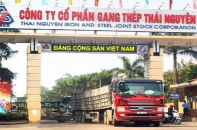 Tisco ghi nhận lỗ thêm 17,36 tỷ đồng trong quý cuối của năm 2022