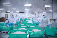 Quý IV/2022, lợi nhuận IDI giảm 70,6% về còn 25,09 tỷ đồng