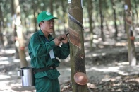 GVR: Điều chỉnh giảm kế hoạch lợi nhuận giúp vượt kế hoạch lợi nhuận năm 2022