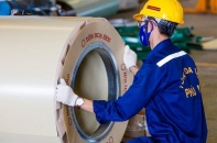 Hoa Sen trình kế hoạch cổ tức 3% bằng cổ phiếu cho niên độ 2021-2022