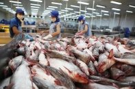 Vĩnh Hoàn tiếp tục tăng trưởng âm trong tháng 2/2023 khi doanh thu thị trường Mỹ giảm 69%