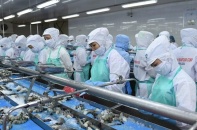Năm 2023, Thực phẩm Sao Ta đặt kế hoạch lợi nhuận tăng 16%, lên 400 tỷ đồng